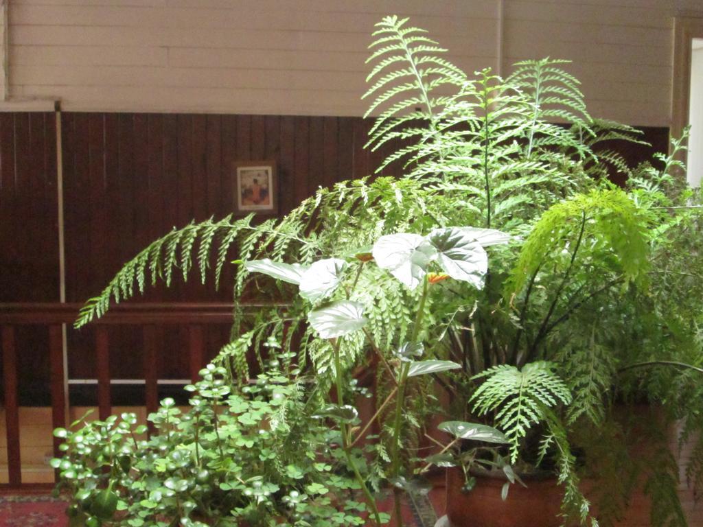 Hostal Patrimonial Angelmo 푸에르토몬트 외부 사진